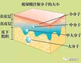 注射分子