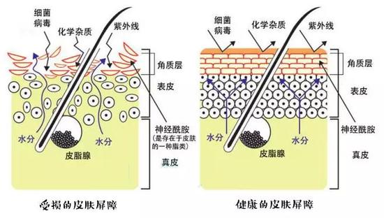 对比