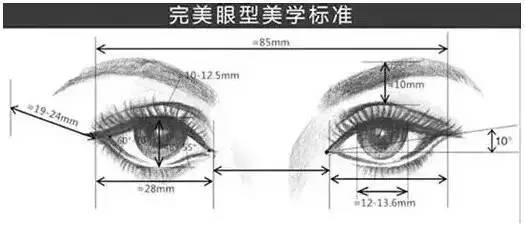 美学要求