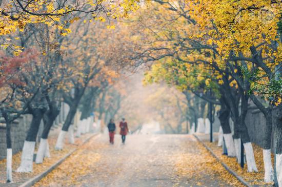 如何挽回一段感情?六招教你挽回感情