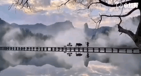 小红书@陈陈