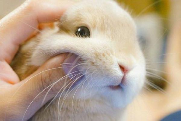 阿迪达斯清风系列