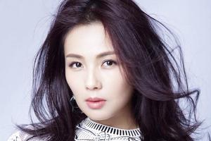 刘涛丹麦被盗400万珠宝 使馆:嫌犯已被捕|刘涛