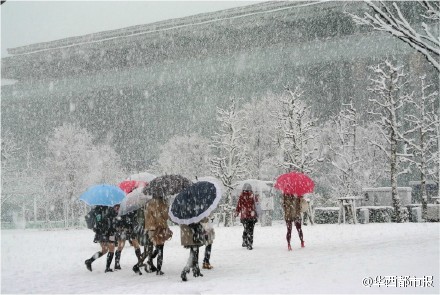 日本妹子光腿短裙闯雪天 仅仅是为了吸引男人注意？