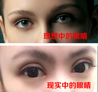 理想與現實的差距