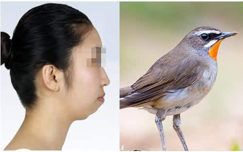下巴