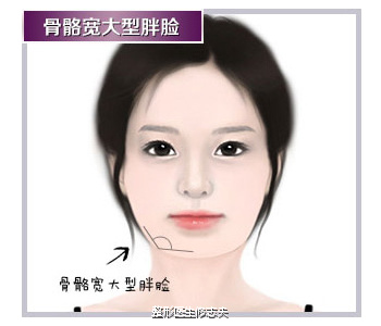 咬肌