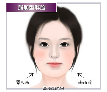 咬肌