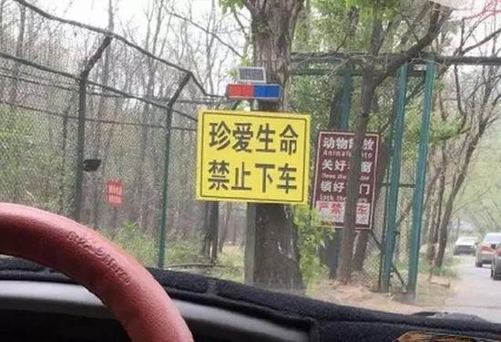 网络配图