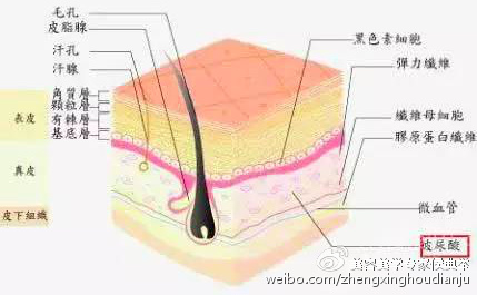 玻尿酸