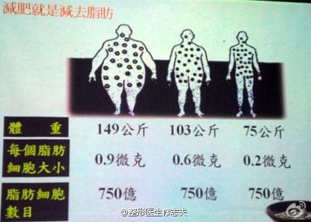 脂肪细胞数量