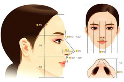 隆鼻与鼻综合有什么区别?|隆鼻|整形|综合鼻整