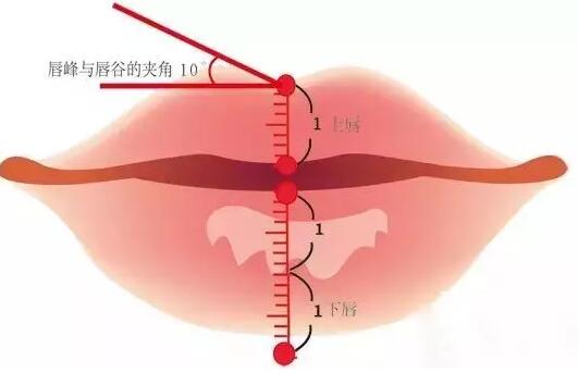 美唇的標(biāo)準(zhǔn)