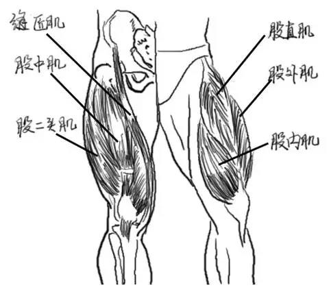 肌力不平衡