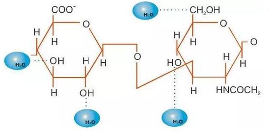 玻尿酸
