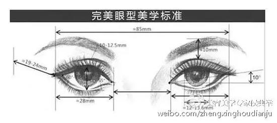 美眼标准