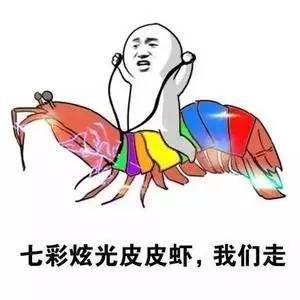 皮皮虾