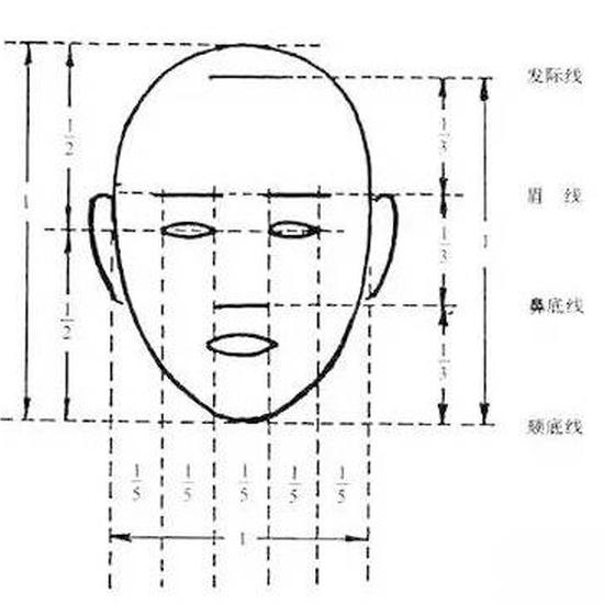 三庭五眼