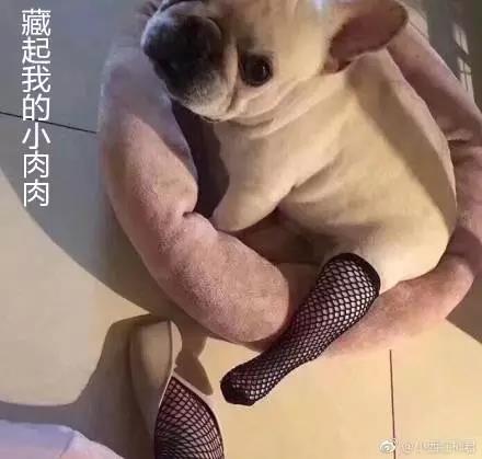 渔网袜当道坑姐呢这是