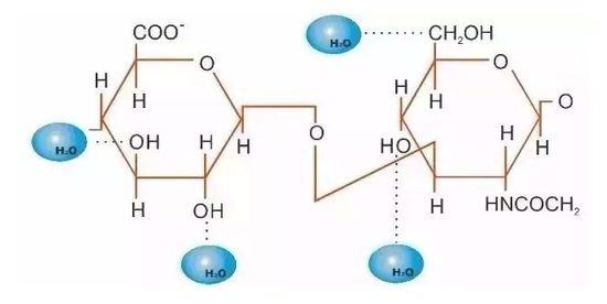 玻尿酸