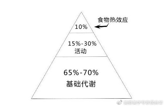 基础代谢降低