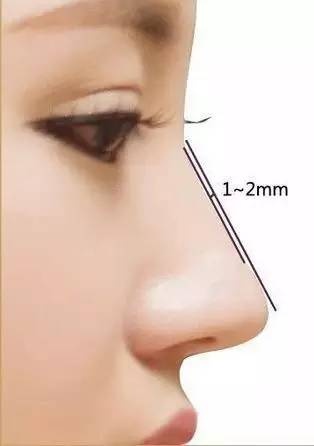 标准鼻线