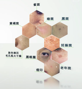 面部年轻化美塑疗法中欧研讨会于北京叶子盛大