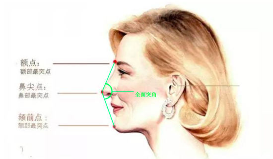 决定侧颜的要求