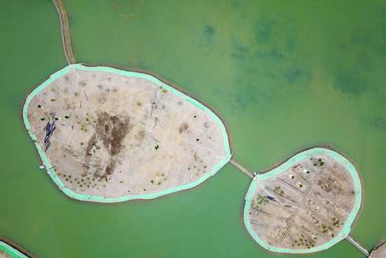 Ecological environment improved in Linze, Gansu