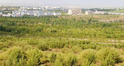 China's Inner Mongolia gains ground in controlling desertification