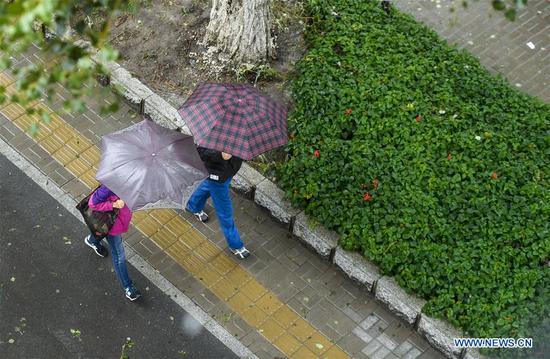 Pedestrians walk amid rain triggered by Typhoon Haishen in Changchun, northeast China's Jilin Province, Sept. 8, 2020. Heavy rain hit most parts of the city of Changchun from Monday night to Tuesday fueled by Typhoon Haishen, the 10th typhoon this year. China's State Flood Control and Drought Relief Headquarters on Monday upgraded its emergency response for flood and typhoon control from Level IV to Level III, as Typhoon Haishen-triggered downpours are expected in vast stretches of northeast China over the next two days. (Xinhua/Xu Chang)