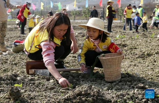 Photo taken on Nov. 27, 2021 shows children planting seedlings with their parents at Zhaizi Farming Experience Centre in Qianjiang, southwest China's Chongqing Municipality. Qianjiang District established the farming experience centre to attract more children to the countryside, so that they can gain a practical understanding of farm labour and learn about crops and the history of agriculture.(Xinhua/Yang Min)