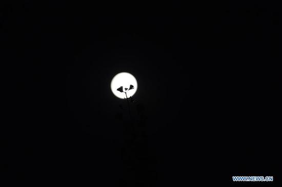  Photo taken on Aug. 3, 2020 shows the full moon in Changsha, central China's Hunan Province.  The full moon appeared on Monday, which is the fourteenth day on the sixth month of the Chinese lunar calendar.  (Xinhua/Qi Xiaoyi)