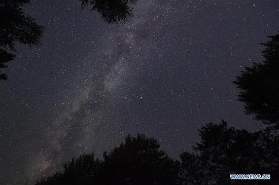 This long-time exposure photo shows the starry sky over a forest park in Fuyuan, northeast China's Heilongjiang Province, Aug. 20, 2020. (Xinhua/Xie Jianfei)