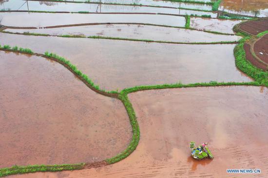 Aerial photo taken on April 14, 2021 shows a farmer driving an agricultural vehicle to transplant seedlings of rice in fields of Baijia Village of Qidong County in Hengyang, central China's Hunan Province. (Photo by Cao Zhengping/Xinhua)