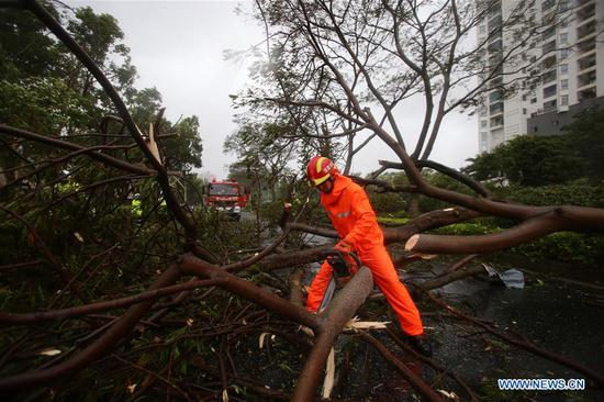 A firefighter clears fallen trees on a street in Xiamen, southeast China's Fujian Province, Aug. 11, 2020. Typhoon Mekkhala, the sixth this year, made landfall at around 7:30 a.m. Tuesday in Zhangpu County, east China's Fujian Province, bringing gales of up to 33 meters per second near its eye, according to local meteorological authorities. (Photo by Zeng Demeng/Xinhua)