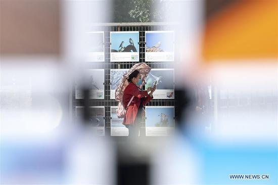 A visitor takes photos at the Pingyao International Photography Festival at Pingyao County in Jinzhong, north China's Shanxi Province, Sept. 19, 2020. The festival kicked off on Saturday, displaying more than 10,000 photography works by over 2,400 photographers from 15 countries and regions. (Xinhua/Yang Chenguang)