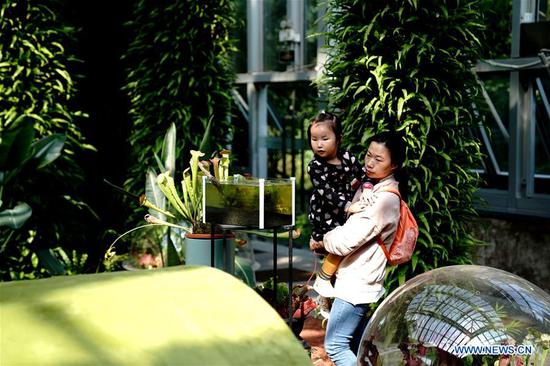 Tourists view an insectivorous plant in Shanghai Botanical Garden in east China's Shanghai, Oct. 11, 2020. More than 250 varieties of insectivorous plants are on display during the 2nd Insectivorous Plant Exhibition. (Xinhua/Zhang Jiansong)