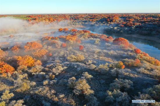 Aerial photo taken on Oct. 12, 2020 shows the autumn scenery of Daqinggou national reserve in Horqin Left Wing Rear Banner of north China's Inner Mongolia Autonomous Region. (Xinhua/Liu Yide)