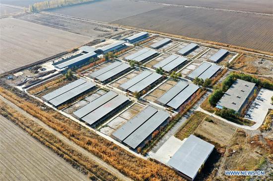 Aerial photo taken on Oct. 19, 2020 shows an animal husbandry company in Manas County, northwest China's Xinjiang Uygur Autonomous Region. Manas introduced Suffolk sheep in 1989. The county has accumulated experience on sheep breeding and improved the quality of its mutton products. In recent years, local people have promoted their high-quality mutton products in the market in Beijing and Shanghai via e-commerce platform to boost villagers' income. (Xinhua/Ding Lei)