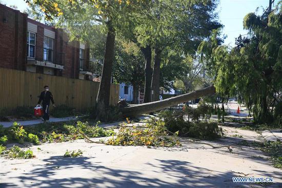 A man walks past a fallen tree in New Orleans, Louisiana, the United States, on Oct. 29, 2020. Over half a million people were without power in the U.S. state of Louisiana after Category 2 Hurricane Zeta made landfall Wednesday afternoon along the Gulf Coast, authorities said Thursday. According to the National Hurricane Center, Zeta has downgraded to a tropical storm. At least three deaths have been blamed on the storm in Louisiana, Mississippi and Georgia. (Photo by Lan Wei/Xinhua)