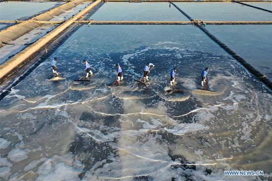 Aerial photo taken on Nov. 4, 2020 shows workers collecting salt in a salt pond at Dongfeng salt field in Qingdao, east China's Shandong Province. Dongfeng salt field has entered the harvest season recently. (Photo by Liang Xiaopeng/Xinhua)
