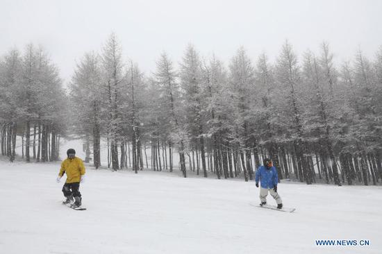 People ski at a ski field during a snowfall in Chongli District of Zhangjiakou City, north China's Hebei Province, Nov. 18, 2020. A snowfall hit Chongli on Wednesday. (Photo by Wu Diansen/Xinhua)