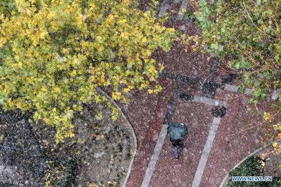  A pedestrian walks in the snow in Chaoyang District of Beijing, capital of China, Nov. 21, 2020.  Beijing witnessed a snowfall on Saturday.  (Xinhua/Li Xin)