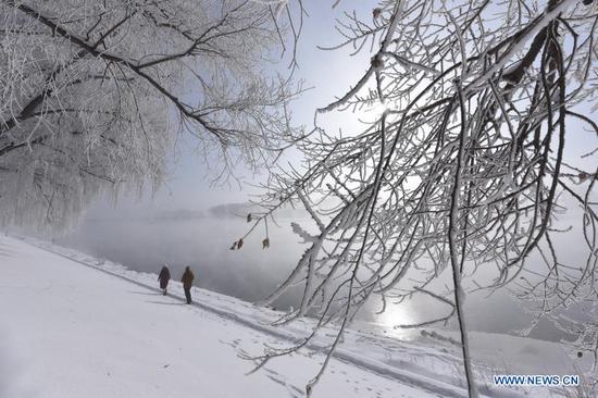 People enjoy the scenery of rime-covered trees along the Mudanjiang River in Ning'an City, northeast China's Heilongjiang Province, Nov. 22, 2020. (Photo by Zhang Chunxiang/Xinhua)