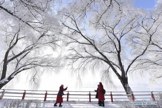 People enjoy the scenery of rime-covered trees along the Mudanjiang River in Ning'an City, northeast China's Heilongjiang Province, Nov. 22, 2020. (Photo by Zhang Chunxiang/Xinhua)