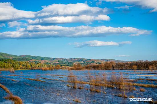 Photo taken on Nov. 18, 2020 shows a view of Nianhu Lake in Huize County of Qujing City, southwest China's Yunnan Province. (Xinhua/Hu Chao)