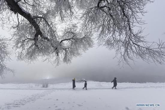 People enjoy the scenery of rime-covered trees along the Mudanjiang River in Ning'an City, northeast China's Heilongjiang Province, Nov. 22, 2020. (Photo by Zhang Chunxiang/Xinhua)