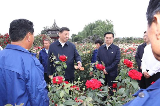 Chinese President Xi Jinping, also general secretary of the Communist Party of China Central Committee and chairman of the Central Military Commission, visits a theme park on Rosa Chinensis, or the Chinese rose, inspecting how Nanyang uses the flower to develop its specialty industries, create more jobs and boost local employment, in Nanyang, central China's Henan Province, May 12, 2021. Xi Jinping on Wednesday inspected the city of Nanyang in Henan Province. (Xinhua/Ju Peng)