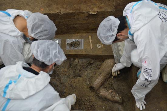 Photo taken on May 26, 2021 shows archeologists cleaning up ivory relics found in the No.7 sacrificial pit at Sanxingdui Ruins site in Guanghan, southwest China's Sichuan Province. (Xinhua/Liu Mengqi)